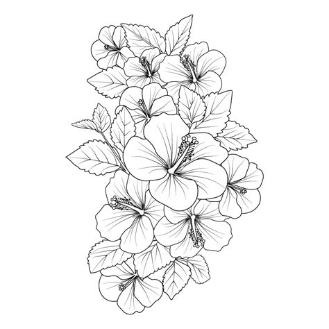 vector hibiscus flower. hibiscus flower drawing easy, sketch easy hibiscus flower drawing, easy ...