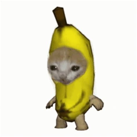 Banana Cat GIF - Banana Cat - Découvrir et partager des GIF