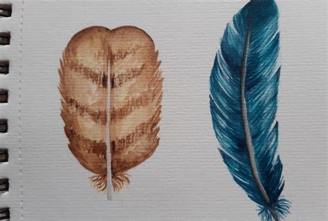 Watercolor Feathers | Skillshare Student Project