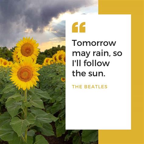 100+ Sunflower Quotes to Brighten Your Day