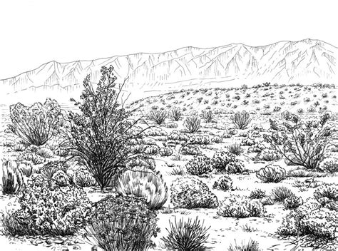 Desert Scrub Ecosystem Drawing by Logan Parsons - Pixels