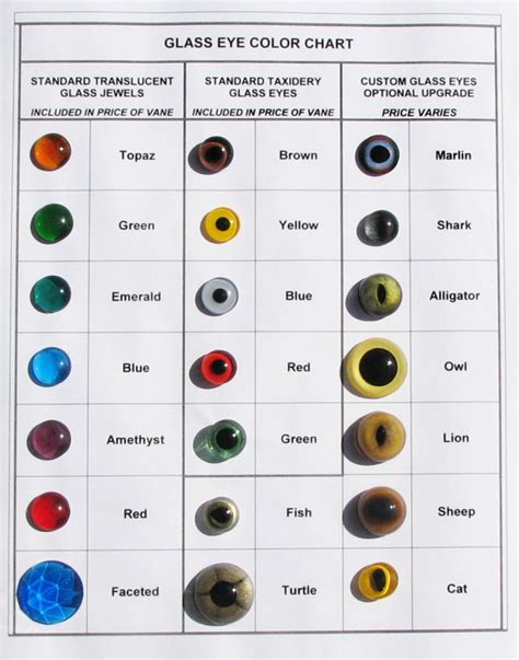 Eye Color Chart Predictor