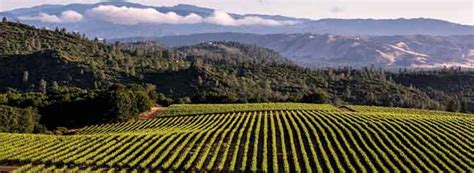 The World's Best California Wines | Wine-Searcher News & Features