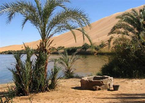 Baharia Oasis and White Desert Day Tour from Cairo - Deluxe Travel Egypt