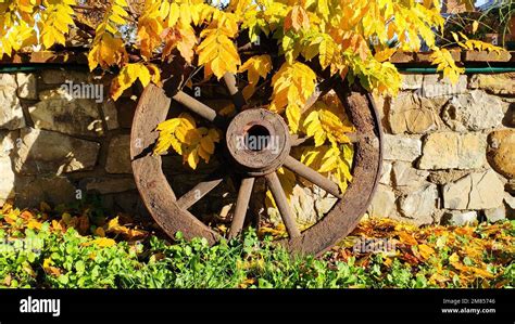 Garden ornaments old wagon wheel made of wood and iron Stock Photo - Alamy