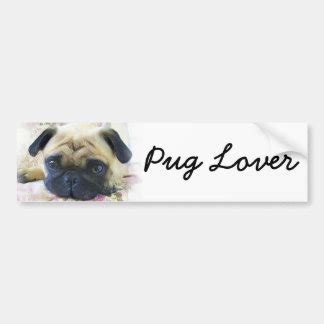 Pug Bumper Stickers - Car Stickers | Zazzle