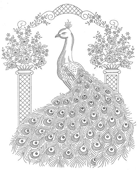 Peacock Drawing Outline For Glass Painting at GetDrawings | Free download