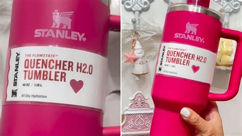 Stanley tumbler fan faces backlash for laminating Target product label - Dexerto