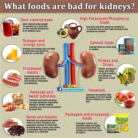 Renal Diet - Homecare24