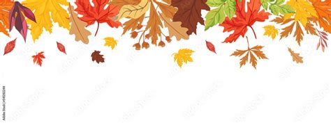 Autumn Leaves Border isolated on Transparent background. Red, yellow and orange fall leaves with ...