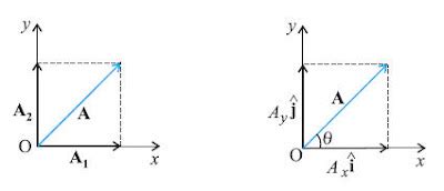 Physics Complete: Vector Resolution