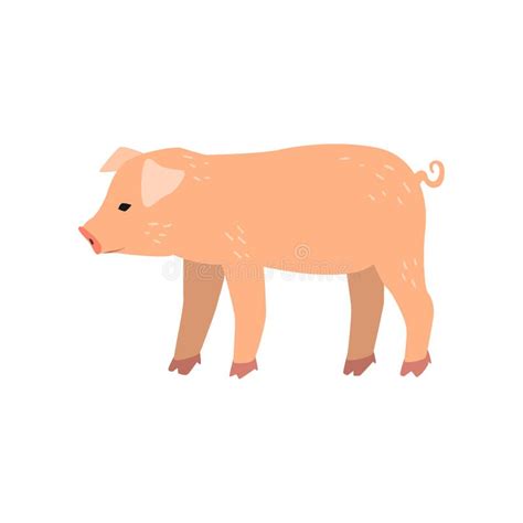 Cute Baby Pig, Side View Cartoon Illustration Stock Vector - Illustration of colorful, baby ...