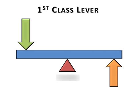 First Class Lever Diagram