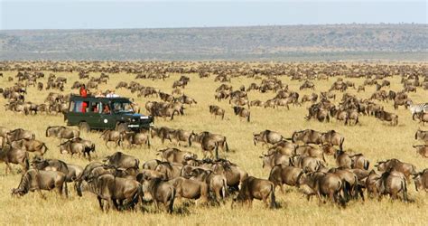 Masai Mara Safari Lodges in Kenya