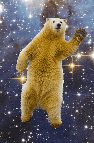 The Dancing Polar Bears GIFs - Find & Share on GIPHY