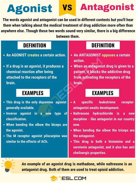 Agonist vs. Antagonist: Confusing Biological Terms • 7ESL