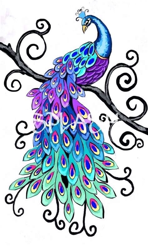 Simple Peacock Drawing | Free download on ClipArtMag