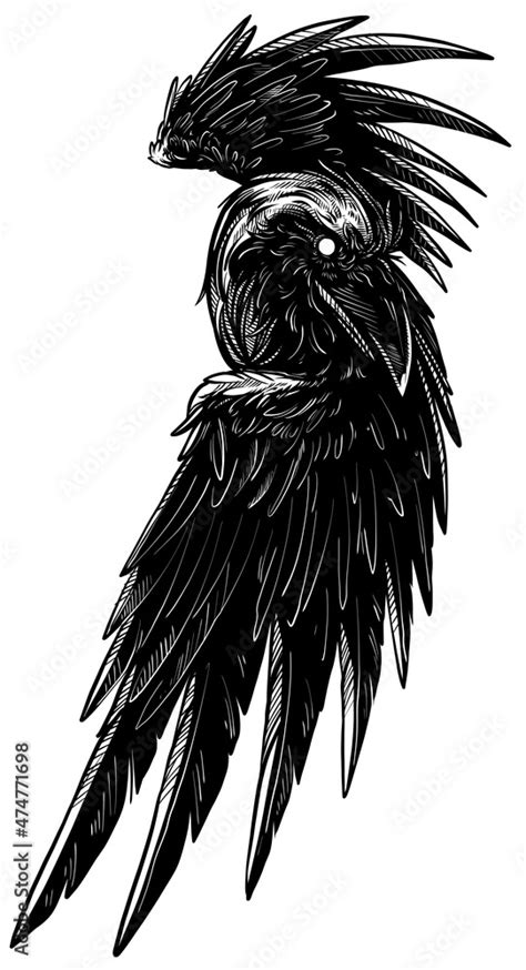 Cartoon graphic hand drawn evil raven crow with bloody black eyes. Isolated black and white ...