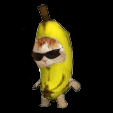 banana cat meme