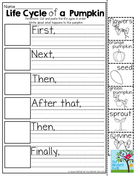 Life Cycle Of A Pumpkin (cut, Paste And Write!) – Worksheets Samples