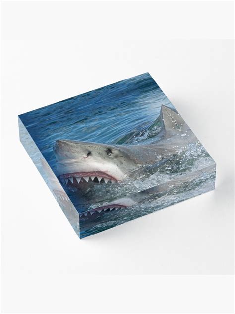 "Great White Shark " Acrylic Block for Sale by DV-LTD | Redbubble