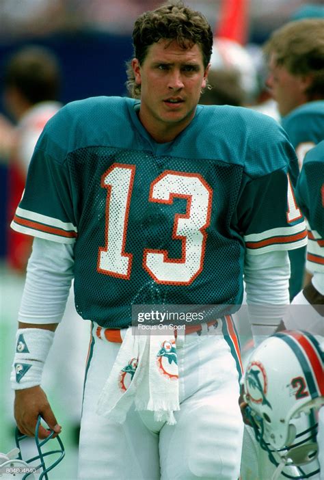 Quarterback Dan Marino of the Miami Dolphins looks on from the... | Miami dolphins football ...