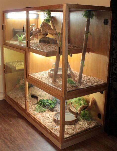 Best 25+ Bearded dragon terrarium ideas on Pinterest | Bearded dragon habitat, Bearded dragon ...