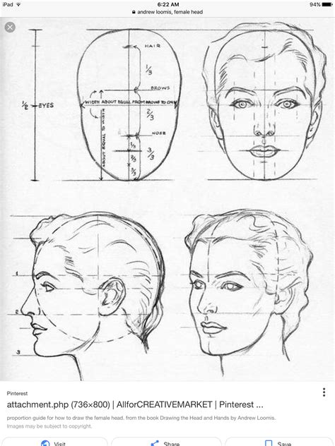 How To Draw Female Faces In Correct Proportions With Easy Drawing | Images and Photos finder