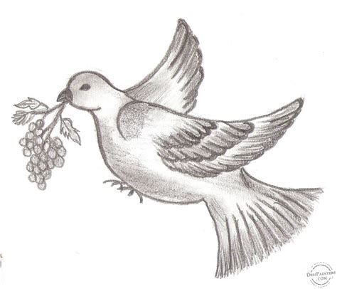 Simple Bird Pencil Drawing