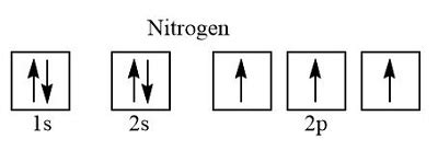 Write the full orbital diagram for nitrogen and identify the valence electrons. | Homework.Study.com