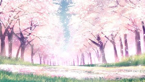 Anime Blossom Wallpapers - Top Free Anime Blossom Backgrounds - WallpaperAccess