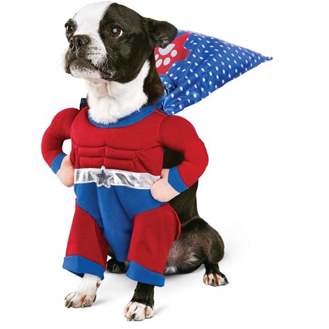 Halloween Costume Ideas For Dogs - Festival Around the World