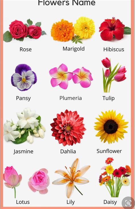 Learn english vocabulary through pictures flowers and plants – Artofit