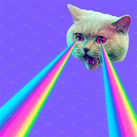 Evil Cat with rainbow lasers from ey | Beauty & Fashion Stock Photos ~ Creative Market