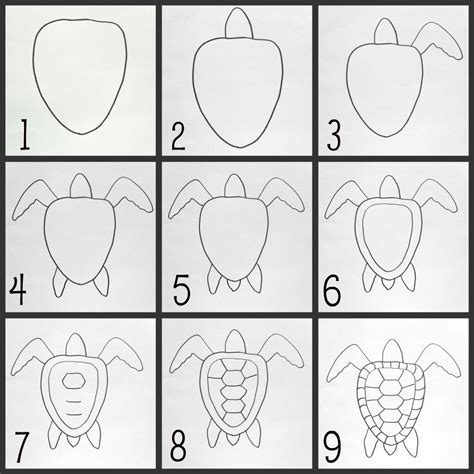 How To Draw A Turtle Step By Step | AESTHETIC DRAWING