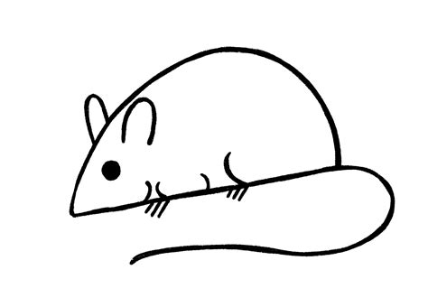 Mouse Drawing {4 Easy Steps}! - The Graphics Fairy