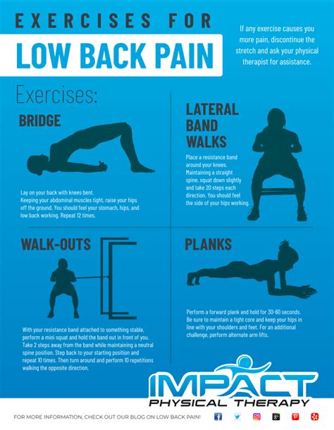 4 Key Exercises For Low Back Pain