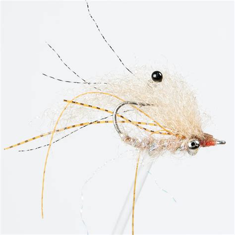 EP Ghost Shrimp | Orlando Outfitters