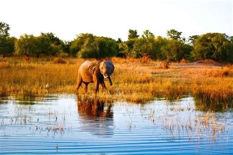 9 Fascinating Facts About Lake Chad In Africa You Should Know