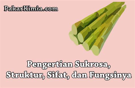 Pengertian Sukrosa | Ilmu Kimia