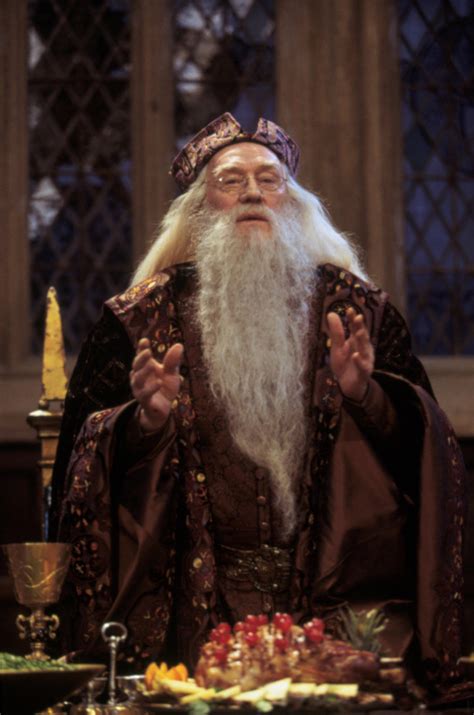 Dumbledore at the Great Hall feast — Harry Potter Fan Zone