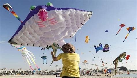 Annual Kite Flying competition attracts kite enthusiasts