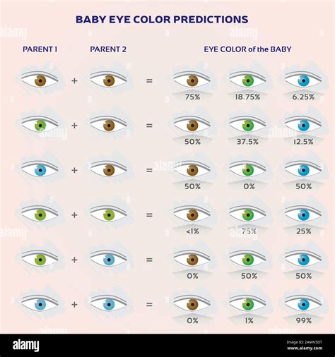 Eye Color Chart Genetics