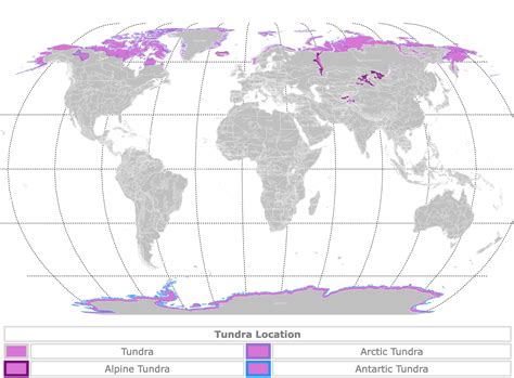 Tundra Biome World Map - Sacha Clotilda