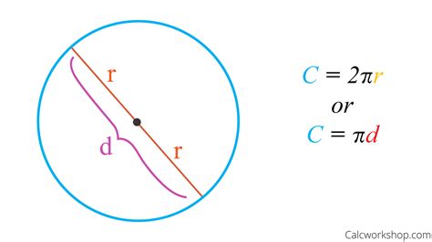 How to Find the Circumference of a Circle? (13 Examples!)