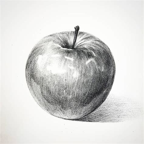 Pencil Shading Apple Drawing