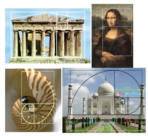 Fibonacci Sequence In Architecture