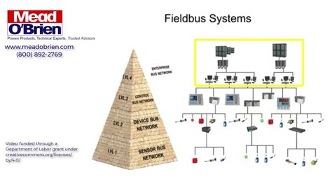 The Basics of a Fieldbus Control Network - YouTube