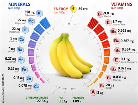 Vitamins and minerals of banana fruit. Banana nutrition facts vector de Stock | Adobe Stock