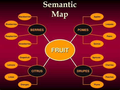 Semantic Map Template